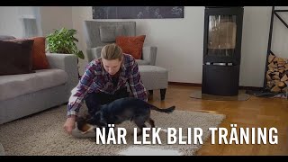 VALP  När lek blir träning [upl. by Rust]