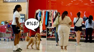 Cussing Dog Prank 3 [upl. by Grider]