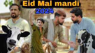 Eid mal mandi 2024  pashto new funny video  Zindabad vines 2024 [upl. by Enimzzaj]