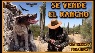 CUATREROS Y FORAJIDOS PARTE 13 RANCHO A LA VENTA ACABAN CON EL GANADO… [upl. by Marx]