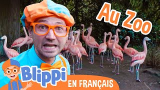 Blippi nourrit et joue avec les animaux au zoo  Blippi en français  Vidéos éducatives pour enfants [upl. by Zaremski606]