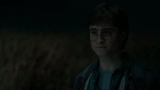 quotNobody else is going to die Not for mequot  Harry Potter and the Deathly Hallows Pt 1 [upl. by Anirbed]