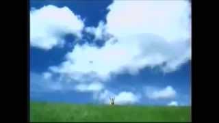 Windows XP Commercial [upl. by Aicire]