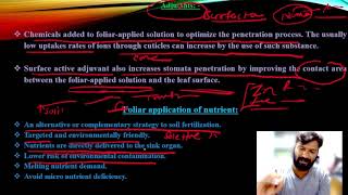 Foliar uptake Mechanism ARS exams [upl. by Hugo]