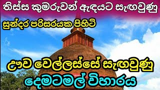 Dematamal viharaya  දෙමටමල් විහාරය  2024 sri lanka  sinhala  beutifull places lanka  sanka bro [upl. by Zohara425]