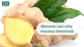 Alimente care refac mucoasa intestinală [upl. by Zetnauq287]