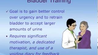 An Introduction to Overactive Bladder OAB [upl. by Attenod]