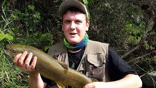 Fly Fishing Trentino 2018  Huge Marble Trout [upl. by Einre932]