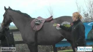 The Mares Oestrus Cycle Part 3  HorseandRider UK [upl. by Lester]