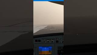 Landing Challenge Cessna Citation CJ4 at KRTS Reno Stead 16R Reno msfs2020 [upl. by Starinsky]