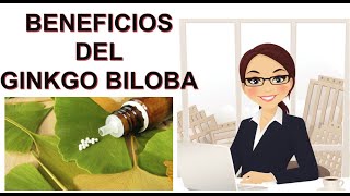 BENEFICIOS DEL GINKGO BILOBA [upl. by Yasnyl]