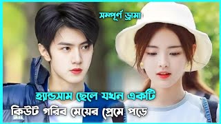 রোমান্টিক লাভ স্টোরি 💖 Forever Love Movie Explain in Bangla  Korean Drama Bangla 🟤 Movie Story SJ [upl. by Aneras10]