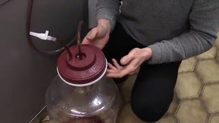 How to filter homebrew wine Using a Harris Filter Vinbrite Filter Kit [upl. by Attenyw]