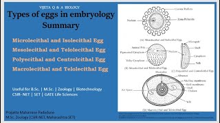 Types of eggs in embryology [upl. by Yauqram804]