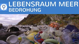 Bedrohung amp Zerstörung des Lebensraums Meer  Klimawandel Plastikmüll Abwasser Tourismus [upl. by Lavelle798]