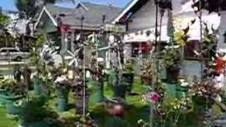 Pinwheel and Whirligig Garden [upl. by Ern]