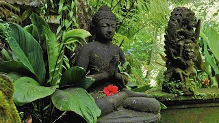 Buddhas Flute Music Zen Garden 7 [upl. by Otilegna]