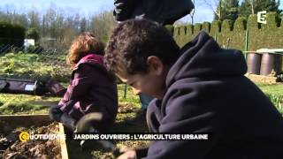 Jardins ouvriers  lagriculture urbaine [upl. by Atnauq]