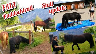 FMA Pferdestall Alltag  Reitbeteiligung Update  Training mit drei Ponys im Roundpen  Paddocktrail [upl. by Enaitsirk]