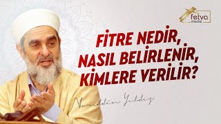 Fitre Nedir Nasıl Belirlenir Kimlere Verilir  Nureddin Yıldız  fetvameclisicom [upl. by Sparhawk]