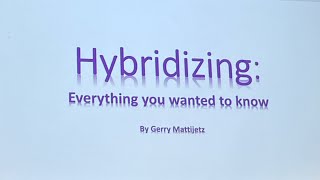 Hybridizing and Mattijetz Hybrids [upl. by Yesdnyl]