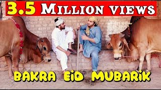 Bakra Eid mubarik l Peshori vines Official [upl. by Sirod]