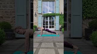 How to Chaturanga  Vinyasa Option 3 of 3 The Standard Method [upl. by Asilram743]