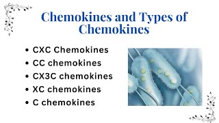 Chemokines and Types of Chemokines  Guyton Academy [upl. by Acirret]