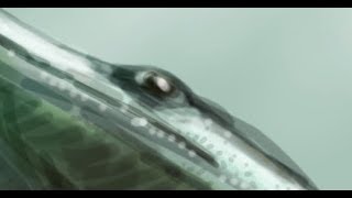 Paleo Speedsketching 99 Archegosaurus [upl. by Lida]