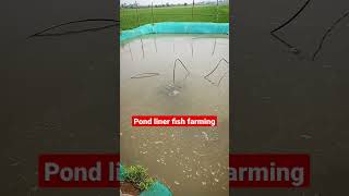 semi bioflocfishfarminginodishapond liner fish farming in odisha shorts krushaksathiodisha [upl. by Nosreip]