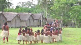 Origens  Aldeia Indigena Yawanawa [upl. by Halyhs]