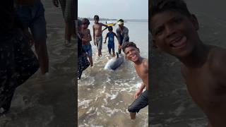 Biggest tuna fishes 1 lakh rupees cost  fishing tunafish beachboynaidu seafood vizagnaidu sea [upl. by Argile]