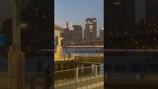 Brooklyn Bridge Park Pier 2 brooklynbridgepark nyc newyorkcity [upl. by Newlin]