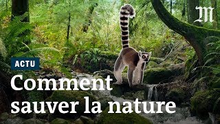 Quelles solutions resteil pour sauver la biodiversité [upl. by Novart329]