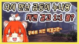 오버워치 희링님과 치킨 빵 내기 결과는 feat라이언티 [upl. by Daniela]