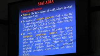 DrSahar  Parasitic Infections 3  Leishmaniasis [upl. by Nanfa]