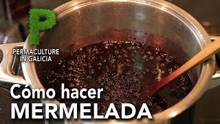 Mermelada de Maracuyá  La Cocina de Norma [upl. by Kurtzig234]