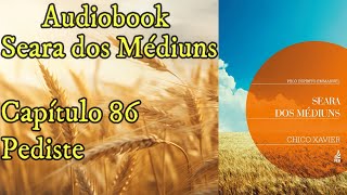 Pediste  Capítulo 86  Audiolivro  Seara dos Médiuns [upl. by Therese]