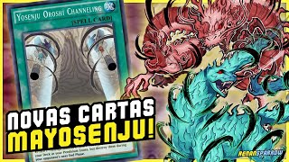 SURPREENDEU MAYOSENJU DÁ OTK FÁCIL COM NOVA CARTA  YuGiOh Duel Links 1684 [upl. by Borgeson]