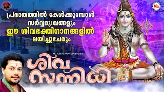 പ്രഭാതത്തിൽ കേൾക്കുമ്പോൾ സർവ്വദുഃഖങ്ങളും ഈ ശിവഭക്തിഗാനങ്ങളിൽ ലയിച്ചുചേരും  Hindu Devotional Songs [upl. by Ittak]