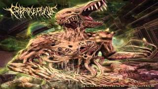 Coprocephalic  Gluttonous Chunks 2013 FullAlbum [upl. by Sharman82]