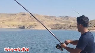 Best fishing video  Rod fishubg 🐋 fisheryworld fish fishing fishingvideos adventure 4kvideo [upl. by Shirah]