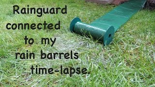 Rainguard Downspout Extension on my Rain Barrels  Time Lapse [upl. by Clementine]