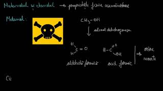 Alcooli  metanol etanol glicerină  LectiiVirtualero [upl. by Anitap]