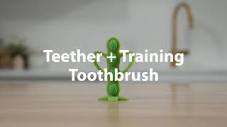 Dr Brown’s® Peapod Teether  Training Toothbrush [upl. by Ainoyek]