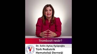 Trombosit nedir [upl. by Ailiec342]