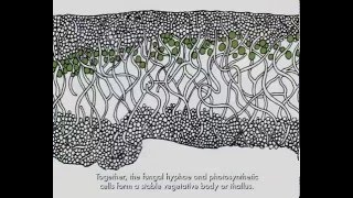 Lichen Biology [upl. by Arlyn102]