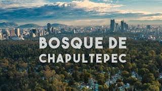 El Bosque de Chapultepec Mejor Que Central Park [upl. by Eyram]