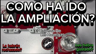 COMO ha ido LA AMPLIACION de las ALPHA… El Universo De Las Hormigas [upl. by Einahc909]