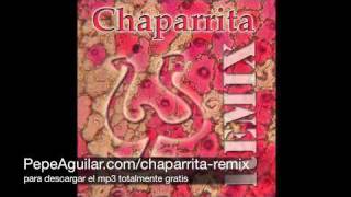 Pepe Aguilar  Chaparrita Sonidero Nacional Remix [upl. by Sup859]